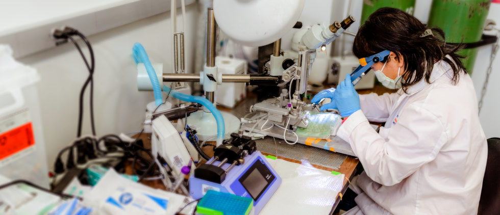 give-now-school-of-graduates-studies-lsu-health-sciences-foundation